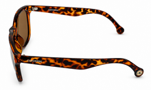 Load image into Gallery viewer, Converse Mens Square Plastic Tortoise Sunglass, Brown Lens H069