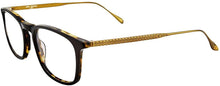 Load image into Gallery viewer, Eyeglasses John Varvatos V 207 Black/Toroise John Varvatos
