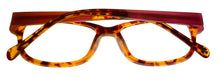 Load image into Gallery viewer, Lucky Brand Mens Eyeglass Rectangle Plastic Porter Havana Tortoise 53mm