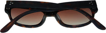 Load image into Gallery viewer, Converse Matt Tortoise Plastic Wayfarer Sunglass Stop Converse