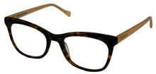 Load image into Gallery viewer, Lucky Brand Mens Soft Square Tortoise Plastic Frame. D203 53mm
