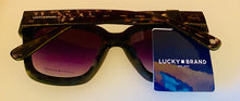 Load image into Gallery viewer, Lucky Brand Unisex Sunglasses Black Plastic Square Sycamore, Gradient Lens
