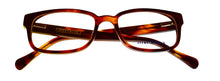 Load image into Gallery viewer, Lucky Brand Mens Ophthalmic Eyeglass Rectangle Brown Plastic D502 50mm
