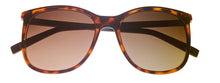 Load image into Gallery viewer, Fila Mens Tortoise Plastic Sunglass, Brown Gradient Lens SF9485
