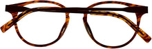 Load image into Gallery viewer, CONVERSE Eyeglasses Q305 Havana

