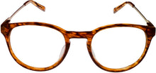 Load image into Gallery viewer, CONVERSE Eyeglasses Q305 Havana Converse
