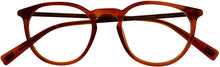 Load image into Gallery viewer, Eyeglasses John Varvatos V 371 Brown John Varvatos
