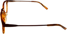 Load image into Gallery viewer, CONVERSE Eyeglasses Q305 Havana Converse
