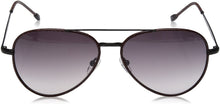 Load image into Gallery viewer, John Varvatos V512 Aviator Sunglasses
