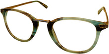 Load image into Gallery viewer, Eyeglasses John Varvatos V 372 Blue Horn John Varvatos
